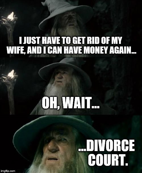 Confused Gandalf Meme | I JUST HAVE TO GET RID OF MY WIFE, AND I CAN HAVE MONEY AGAIN... OH, WAIT... ...DIVORCE COURT. | image tagged in memes,confused gandalf | made w/ Imgflip meme maker