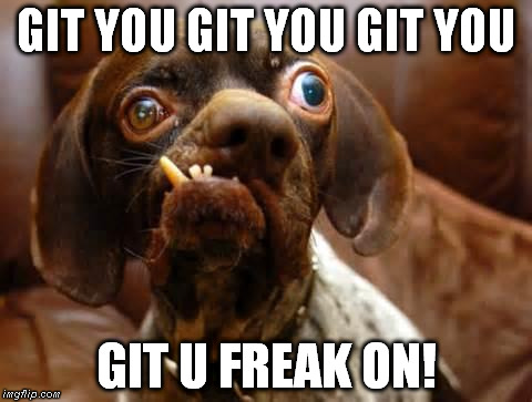 git your freak on! | GIT YOU GIT YOU GIT YOU GIT U FREAK ON! | image tagged in ugly dog,freeadvizor | made w/ Imgflip meme maker
