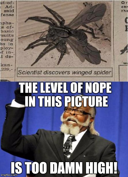 Goodbye, I never liked this planet anyway. | THE LEVEL OF NOPE IN THIS PICTURE IS TOO DAMN HIGH! | image tagged in nope,memes,spiders,too damn high,news | made w/ Imgflip meme maker