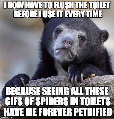 Confession Bear | I NOW HAVE TO FLUSH THE TOILET BEFORE I USE IT EVERY TIME BECAUSE SEEING ALL THESE GIFS OF SPIDERS IN TOILETS HAVE ME FOREVER PETRIFIED | image tagged in memes,confession bear | made w/ Imgflip meme maker