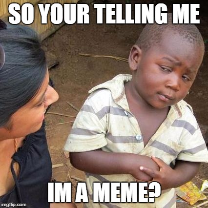 Third World Skeptical Kid Meme | SO YOUR TELLING ME IM A MEME? | image tagged in memes,third world skeptical kid | made w/ Imgflip meme maker