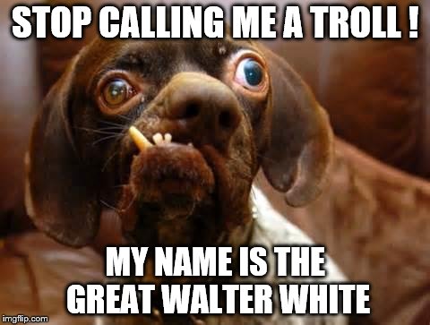 UGLY DOG | STOP CALLING ME A TROLL ! MY NAME IS THE GREAT WALTER WHITE | image tagged in ugly dog | made w/ Imgflip meme maker