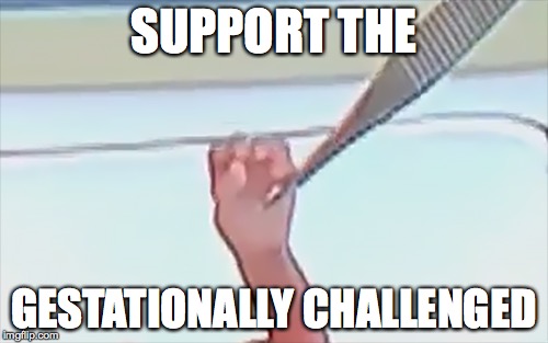 SUPPORT THE GESTATIONALLY CHALLENGED | made w/ Imgflip meme maker