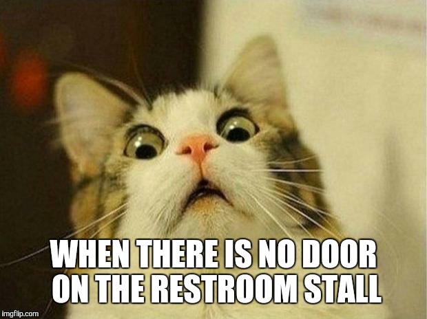 This just happened to me | WHEN THERE IS NO DOOR ON THE RESTROOM STALL | image tagged in memes,scared cat | made w/ Imgflip meme maker