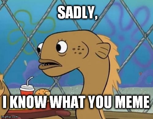 Just.....so sad...
 | SADLY, I KNOW WHAT YOU MEME | image tagged in memes,sadly i am only an eel | made w/ Imgflip meme maker