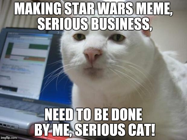 serious cat | MAKING STAR WARS MEME, SERIOUS BUSINESS, NEED TO BE DONE BY ME, SERIOUS CAT! | image tagged in serious cat | made w/ Imgflip meme maker