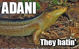 Adani they hatin | ADANI They hatin' | image tagged in adani,yakka,skink,yakka skink,ornamental snake,coalmine | made w/ Imgflip meme maker