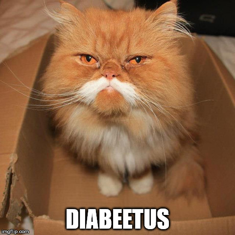 Diabeetus Kitteh | DIABEETUS | image tagged in diabeetus kitteh | made w/ Imgflip meme maker