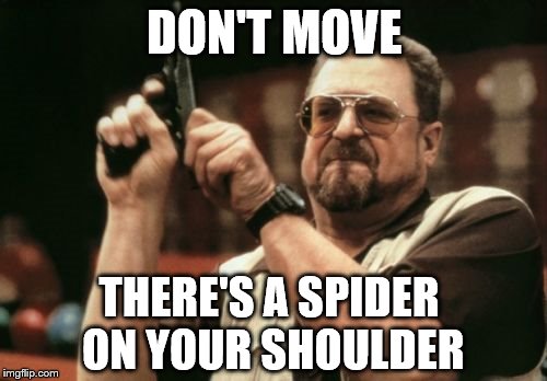 Am I The Only One Around Here | DON'T MOVE THERE'S A SPIDER ON YOUR SHOULDER | image tagged in memes,am i the only one around here | made w/ Imgflip meme maker