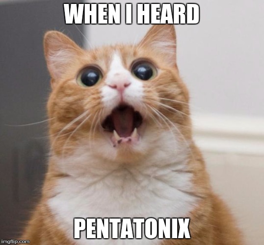 scared cat | WHEN I HEARD PENTATONIX | image tagged in scared cat,music,amazing,pentatonix | made w/ Imgflip meme maker