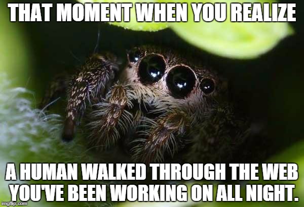 missunder stoood spider | THAT MOMENT WHEN YOU REALIZE A HUMAN WALKED THROUGH THE WEB YOU'VE BEEN WORKING ON ALL NIGHT. | image tagged in missunder stoood spider | made w/ Imgflip meme maker