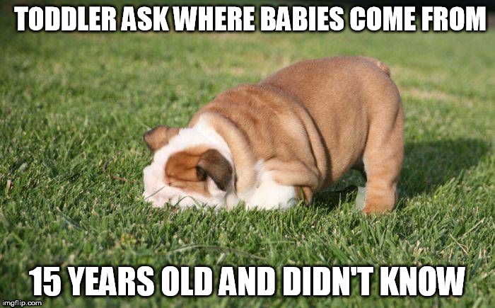 TODDLER ASK WHERE BABIES COME FROM 15 YEARS OLD AND DIDN'T KNOW | made w/ Imgflip meme maker