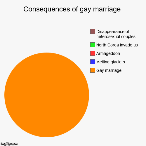 Consequences of gay marriage | image tagged in funny,pie charts,gay marriage | made w/ Imgflip chart maker