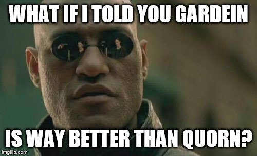 Matrix Morpheus Meme | WHAT IF I TOLD YOU GARDEIN IS WAY BETTER THAN QUORN? | image tagged in memes,matrix morpheus | made w/ Imgflip meme maker