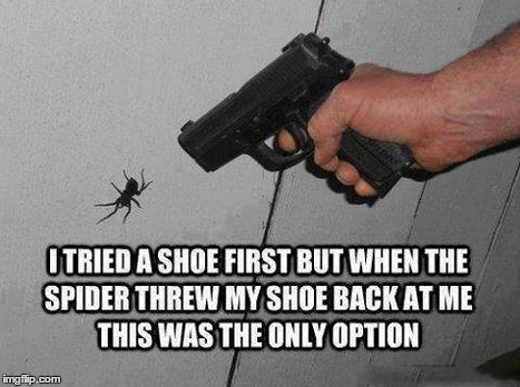 Spider Attack! | image tagged in spiders,funny memes,meme,funny,attack | made w/ Imgflip meme maker