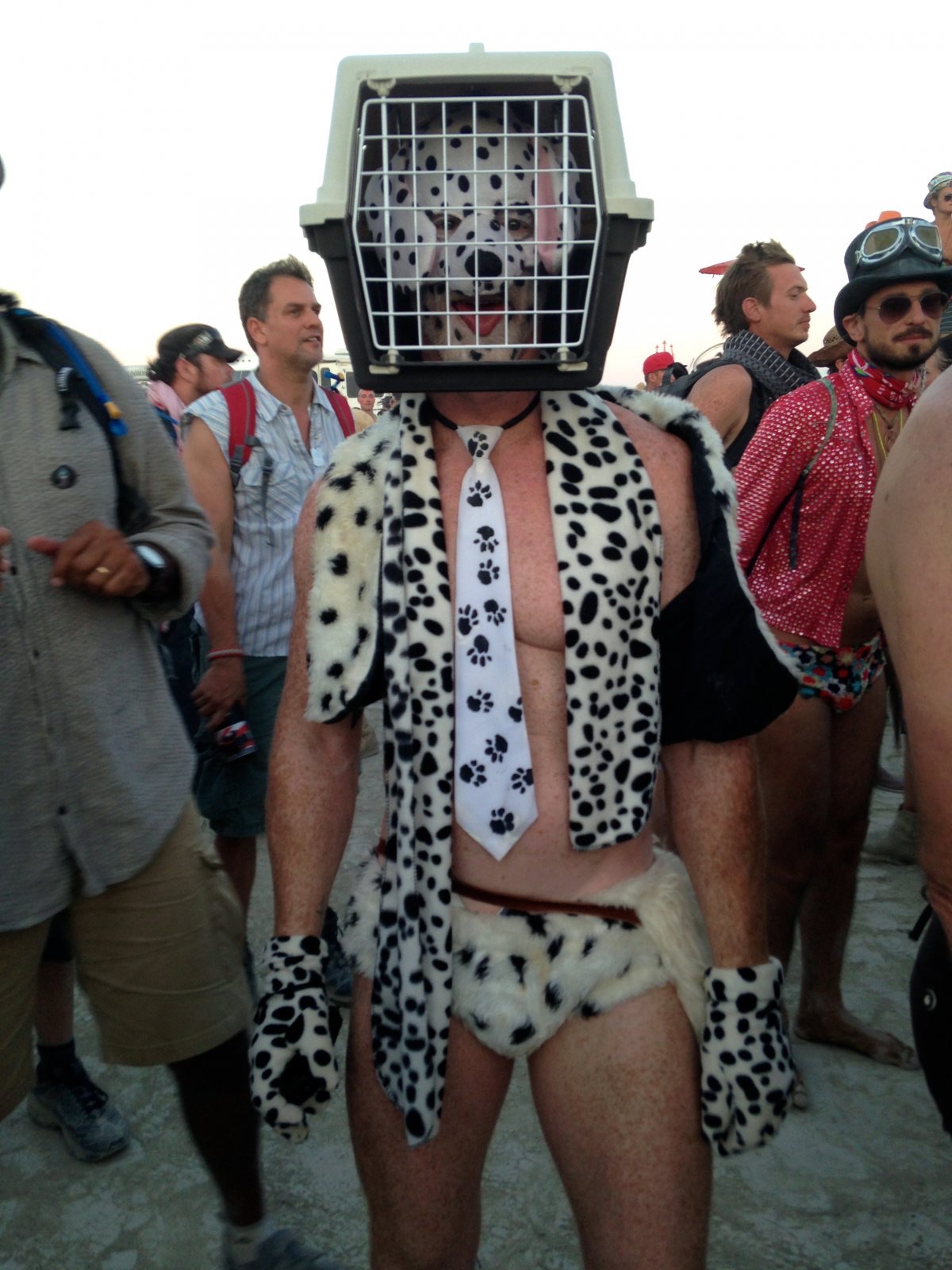 High Quality Burning Man Dog Cage Costume Blank Meme Template