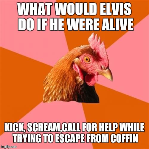 Anti Joke Chicken | WHAT WOULD ELVIS DO IF HE WERE ALIVE KICK, SCREAM,CALL FOR HELP
WHILE TRYING TO ESCAPE FROM COFFIN | image tagged in memes,anti joke chicken | made w/ Imgflip meme maker