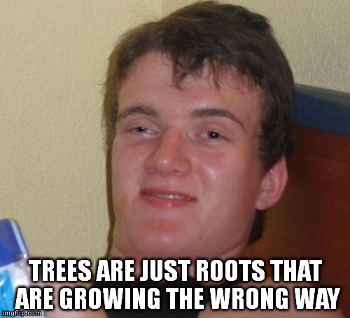 10 Guy | TREES ARE JUST ROOTS THAT ARE GROWING THE WRONG WAY | image tagged in memes,10 guy | made w/ Imgflip meme maker