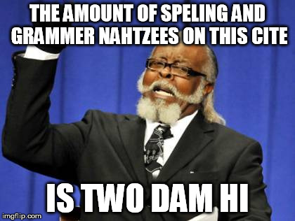 Too Damn High Meme | THE AMOUNT OF SPELING AND GRAMMER NAHTZEES ON THIS CITE IS TWO DAM HI | image tagged in memes,too damn high | made w/ Imgflip meme maker