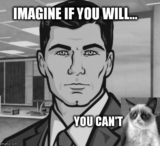 The Grumpy Zone | IMAGINE IF YOU WILL... YOU CAN'T | image tagged in archer,grumpy cat | made w/ Imgflip meme maker