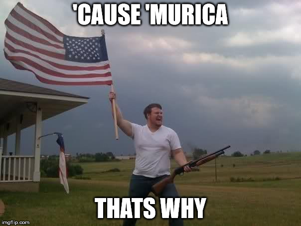 'CAUSE 'MURICA THATS WHY | image tagged in murica | made w/ Imgflip meme maker