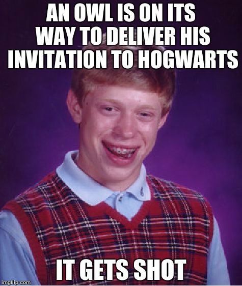 Bad Luck Brian Meme | AN OWL IS ON ITS WAY TO DELIVER HIS INVITATION TO HOGWARTS IT GETS SHOT | image tagged in memes,bad luck brian,harry potter,fail,animals,movies | made w/ Imgflip meme maker
