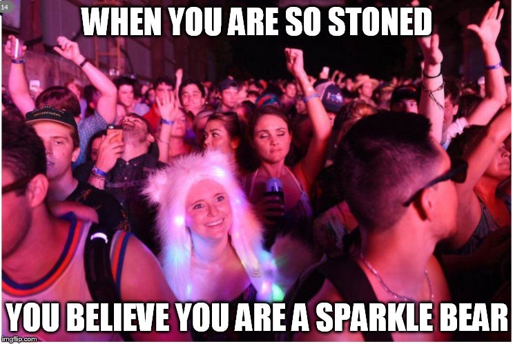 WHEN YOU ARE SO STONED YOU BELIEVE YOU ARE A SPARKLE BEAR | image tagged in stoned girl | made w/ Imgflip meme maker