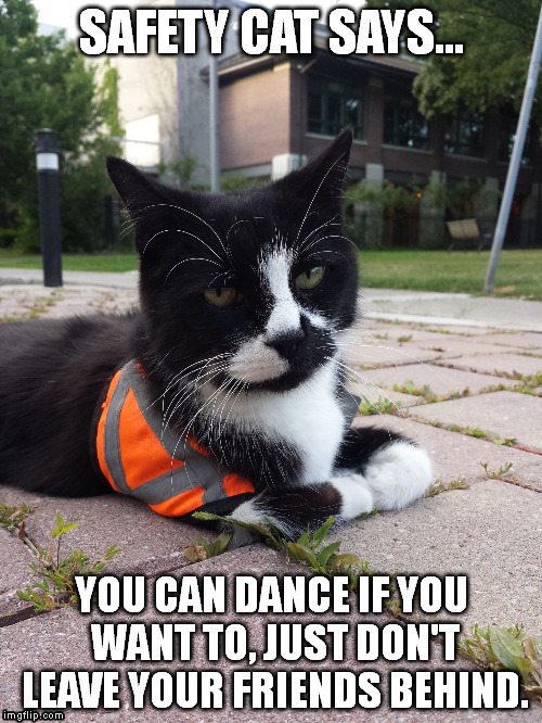 don't know how many will even get this... | image tagged in memes,safety cat | made w/ Imgflip meme maker