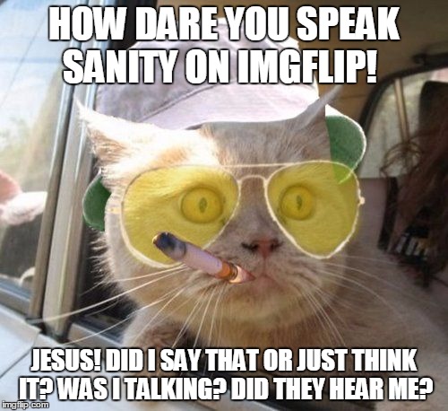fear and loathing kitty | HOW DARE YOU SPEAK SANITY ON IMGFLIP! JESUS! DID I SAY THAT OR JUST THINK IT? WAS I TALKING? DID THEY HEAR ME? | image tagged in fear and loathing kitty | made w/ Imgflip meme maker