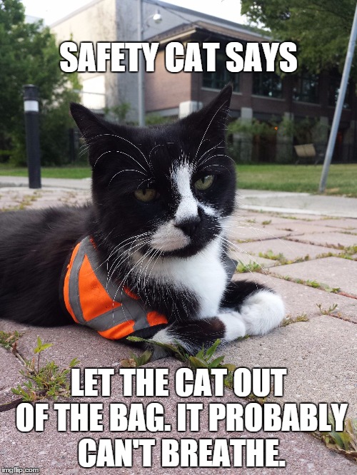 Safety Cat | SAFETY CAT SAYS LET THE CAT OUT OF THE BAG. IT PROBABLY CAN'T BREATHE. | image tagged in safety cat | made w/ Imgflip meme maker