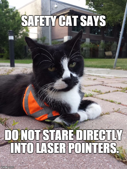 Safety Cat | SAFETY CAT SAYS DO NOT STARE DIRECTLY INTO LASER POINTERS. | image tagged in safety cat | made w/ Imgflip meme maker