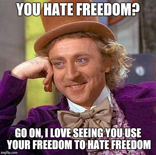 Creepy Condescending Wonka Meme | YOU HATE FREEDOM? GO ON, I LOVE SEEING YOU USE YOUR FREEDOM TO HATE FREEDOM | image tagged in memes,creepy condescending wonka | made w/ Imgflip meme maker