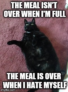 Fat Black Cat | THE MEAL ISN'T OVER WHEN I'M FULL THE MEAL IS OVER WHEN I HATE MYSELF | image tagged in fat black cat | made w/ Imgflip meme maker