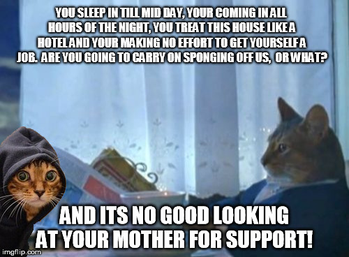 Shape up or ship out | YOU SLEEP IN TILL MID DAY, YOUR COMING IN ALL HOURS OF THE NIGHT, YOU TREAT THIS HOUSE LIKE A HOTEL AND YOUR MAKING NO EFFORT TO GET YOURSEL | image tagged in i should buy a boat cat | made w/ Imgflip meme maker