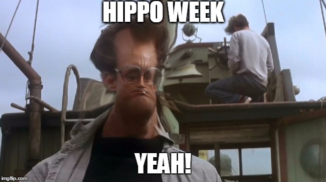 HIPPO WEEK YEAH! | made w/ Imgflip meme maker