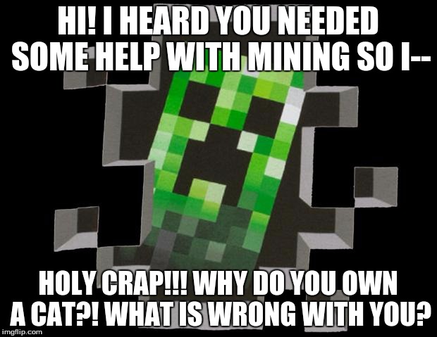Misunderstood Creeper just wants to help you mine... | HI! I HEARD YOU NEEDED SOME HELP WITH MINING SO I-- HOLY CRAP!!! WHY DO YOU OWN A CAT?! WHAT IS WRONG WITH YOU? | image tagged in creeper,minecraft,video games,monster,animals | made w/ Imgflip meme maker