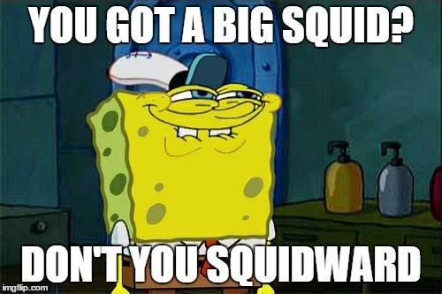 Don't You Squidward | YOU GOT A BIG SQUID? DON'T YOU SQUIDWARD | image tagged in memes,dont you squidward | made w/ Imgflip meme maker