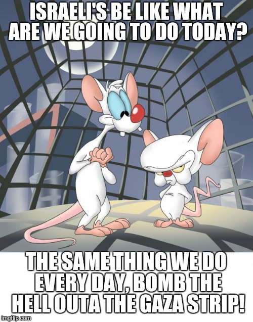 Pinky and the brain | ISRAELI'S BE LIKE WHAT ARE WE GOING TO DO TODAY? THE SAME THING WE DO EVERY DAY, BOMB THE HELL OUTA THE GAZA STRIP! | image tagged in pinky and the brain | made w/ Imgflip meme maker