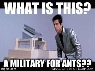 WHAT IS THIS? A MILITARY FOR ANTS?? | image tagged in military for ants | made w/ Imgflip meme maker