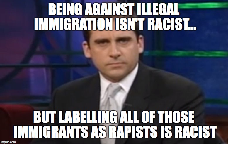 Politically Correct Carell | BEING AGAINST ILLEGAL IMMIGRATION ISN'T RACIST... BUT LABELLING ALL OF THOSE IMMIGRANTS AS RAPISTS IS RACIST | image tagged in politically correct carell | made w/ Imgflip meme maker