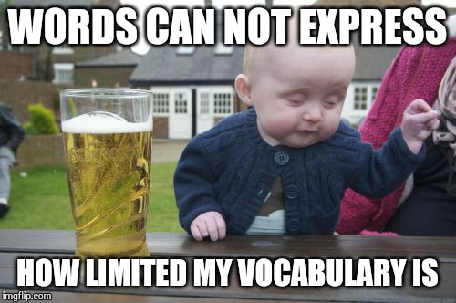 Umm, so yah... | WORDS CAN NOT EXPRESS HOW LIMITED MY VOCABULARY IS | image tagged in memes,drunk baby | made w/ Imgflip meme maker