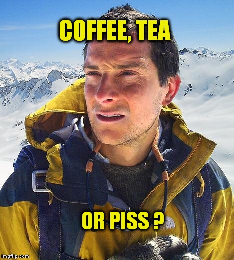 Bear Grylls | COFFEE, TEA OR PISS ? | image tagged in memes,bear grylls | made w/ Imgflip meme maker