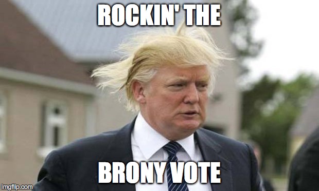 EVERY VOTE COUNTS | ROCKIN' THE BRONY VOTE | image tagged in brony,donald trump | made w/ Imgflip meme maker