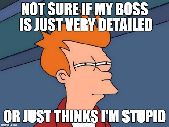 Futurama Fry Meme | NOT SURE IF MY BOSS IS JUST VERY DETAILED OR JUST THINKS I'M STUPID | image tagged in memes,futurama fry | made w/ Imgflip meme maker