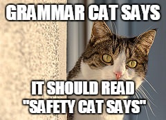 GRAMMAR CAT SAYS IT SHOULD READ "SAFETY CAT SAYS" | made w/ Imgflip meme maker