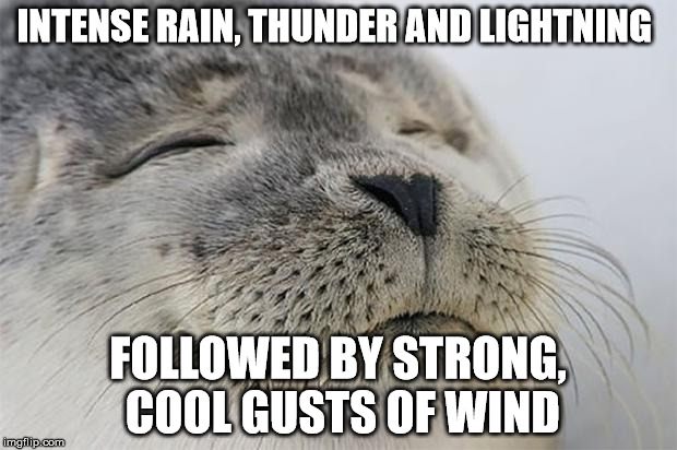 Satisfied Seal | INTENSE RAIN, THUNDER AND LIGHTNING FOLLOWED BY STRONG, COOL GUSTS OF WIND | image tagged in memes,satisfied seal,AdviceAnimals | made w/ Imgflip meme maker
