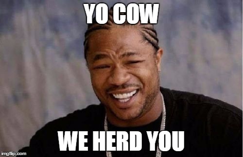 Yo Dawg Heard You Meme | YO COW WE HERD YOU | image tagged in memes,yo dawg heard you | made w/ Imgflip meme maker