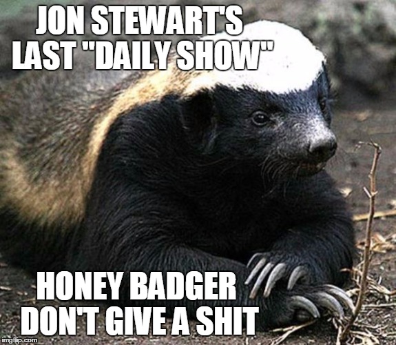 Jon Stewart's last daily show (spelling fixed) | JON STEWART'S LAST "DAILY SHOW" HONEY BADGER DON'T GIVE A SHIT | image tagged in honey badger,memes | made w/ Imgflip meme maker