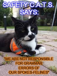 SAFETY C.A.T.S. SAYS: "WE ARE NOT RESPONSIBLE FOR GRAMMAR ERRORS OF OUR SPOKES-FELINES" | made w/ Imgflip meme maker