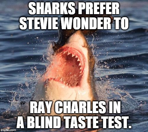 Travelonshark Meme | SHARKS PREFER STEVIE WONDER TO RAY CHARLES IN A BLIND TASTE TEST. | image tagged in memes,travelonshark | made w/ Imgflip meme maker